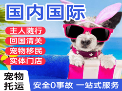 湘西边城国际宠物托运 【国